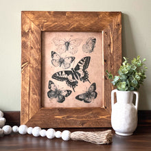 Load image into Gallery viewer, Vintage Butterfly Illustration Framed Picture