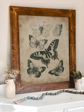 Load image into Gallery viewer, Vintage Butterfly Illustration Framed Picture