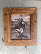 Load image into Gallery viewer, Donkey with Flowers Framed Vintage Picture