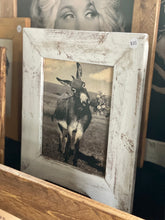 Load image into Gallery viewer, Donkey with Flowers Framed Vintage Picture