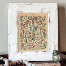 Load image into Gallery viewer, Fleurs Vintage Flower Chart - French Natural History Illustration