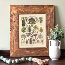 Load image into Gallery viewer, Jardins Vintage Tree Chart - French Natural History Illustration