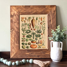 Load image into Gallery viewer, Pantry Guide Vintage Food Chart - French Natural History Illustration