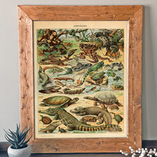 Load image into Gallery viewer, Reptile Identification Vintage Chart - French Natural History Illustration