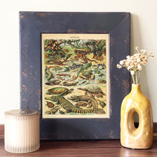 Load image into Gallery viewer, Reptile Identification Vintage Chart - French Natural History Illustration