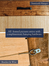 Load image into Gallery viewer, Highland Cow Framed Vintage Picture
