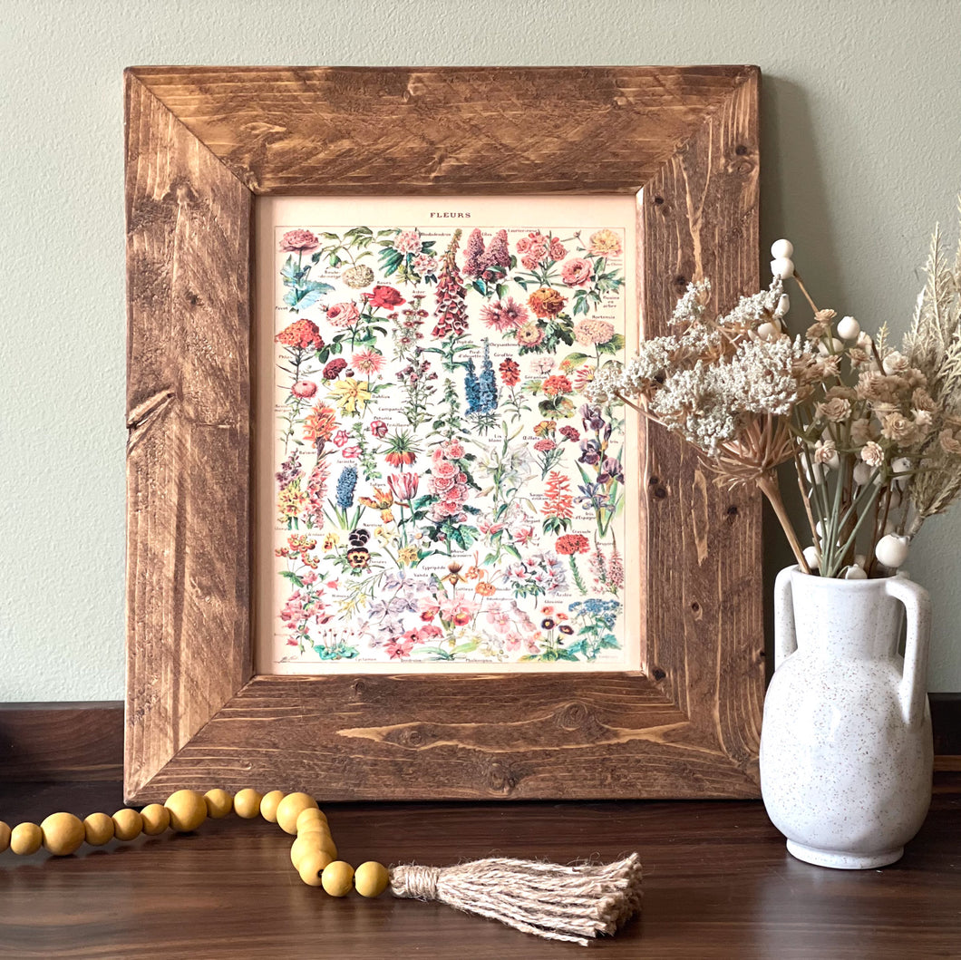 Fleurs Vintage Flower Chart - French Natural History Illustration