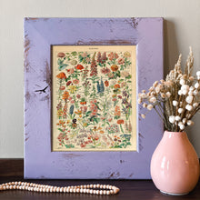 Load image into Gallery viewer, Fleurs Vintage Flower Chart - French Natural History Illustration
