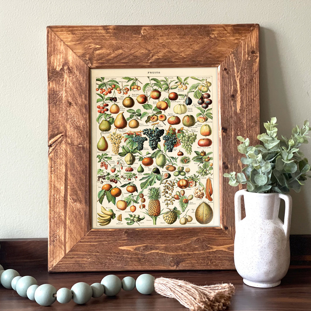 Fruits Vintage Chart - French Natural History Illustration