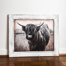 Load image into Gallery viewer, Highland Cow Framed Vintage Picture
