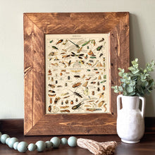 Load image into Gallery viewer, Insects Guide Vintage Chart - French Natural History Illustration

