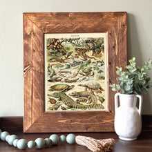 Load image into Gallery viewer, Reptile Identification Vintage Chart - French Natural History Illustration
